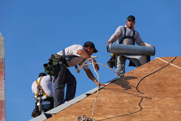 Best Metal Roofing Contractor  in Salmon, ID